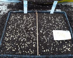 200_IMG-20190415-WA0005