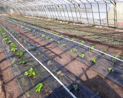 200_IMG-20190415-WA0008