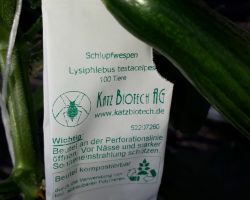 200_IMG-20190609-WA0005 Cropped