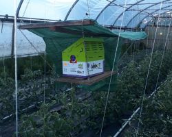 200_IMG-20190609-WA0006