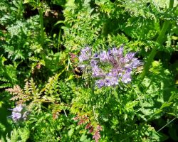 200_IMG-20200624-WA0004