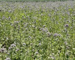 200_IMG-20200624-WA0013