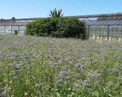 200_IMG-20200624-WA0016